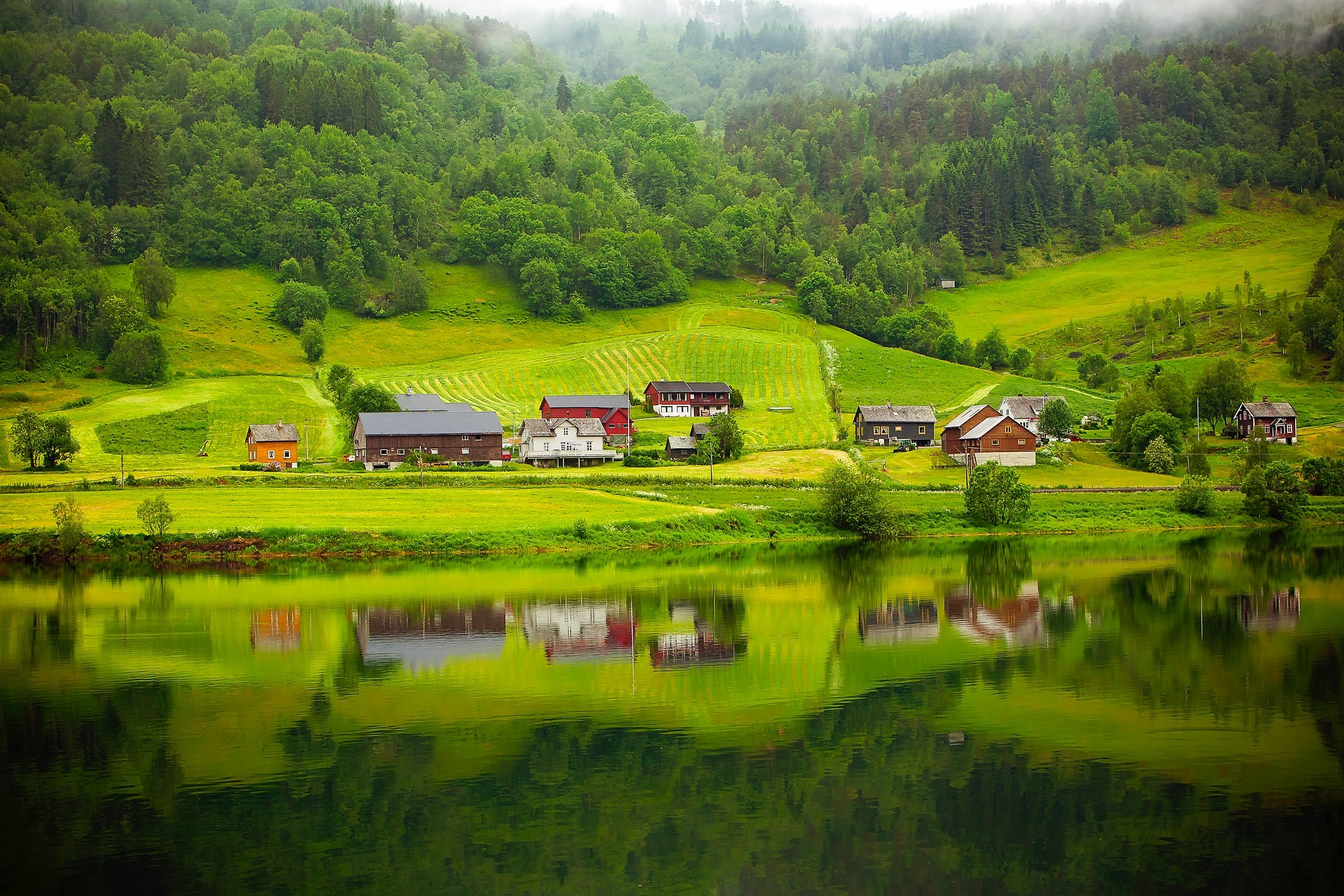 background-image